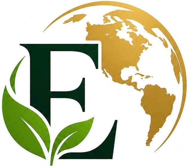 Import & Export Project